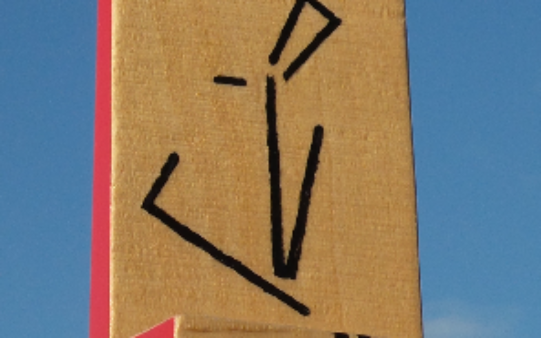 slow wood